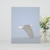 Bald Eagle flying across horizon (Standing Front)