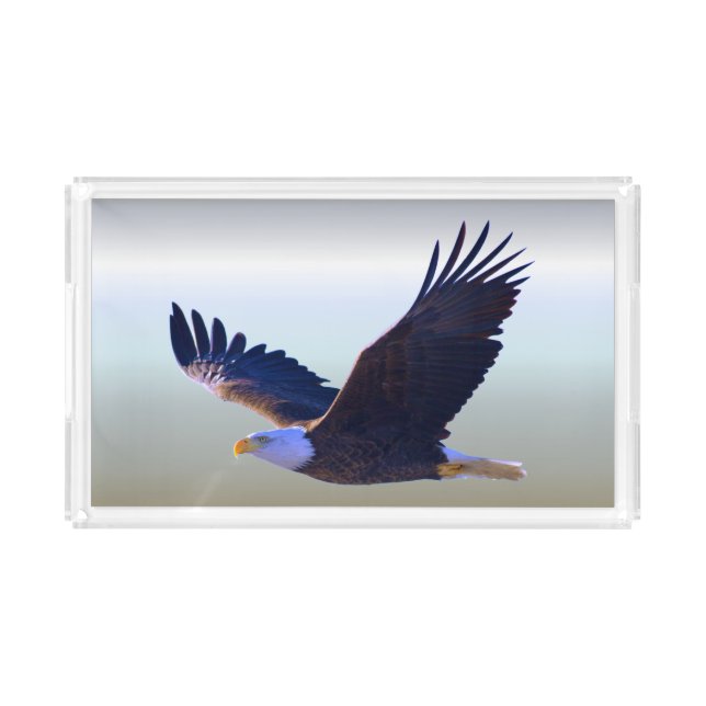 Bald Eagle Flying Acrylic Tray (Front)