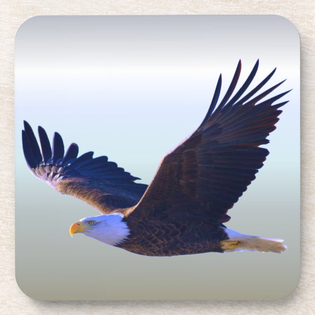 Bald Eagle Flying Beverage Coaster (Front)