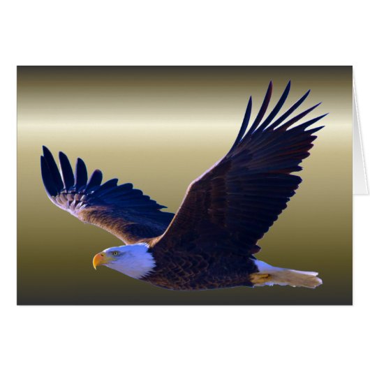 Bald Eagle Flying Cards (Front Horizontal)