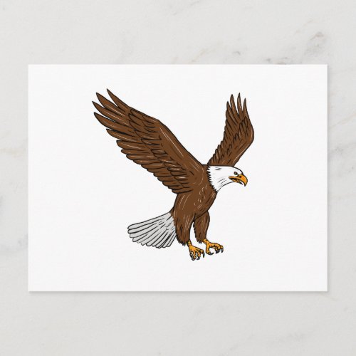 Bald Eagle Flying Drawing Postcard