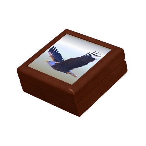 Bald Eagle Flying Gift Box