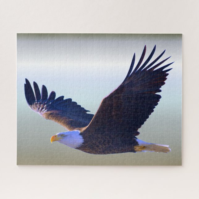 Bald Eagle Flying Jigsaw Puzzle (Horizontal)