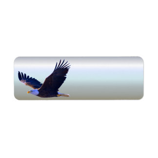 Bald Eagle Flying Label
