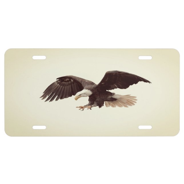 Bald Eagle Flying License Plate (Front)