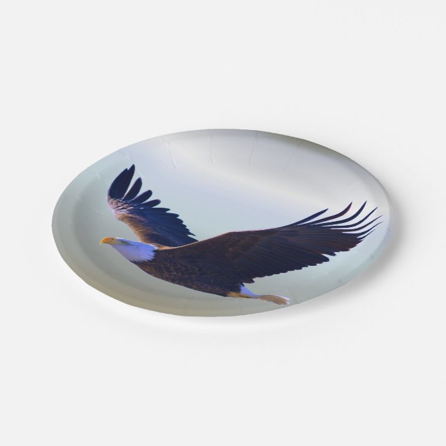 Bald Eagle Flying Paper Plates (Angled)