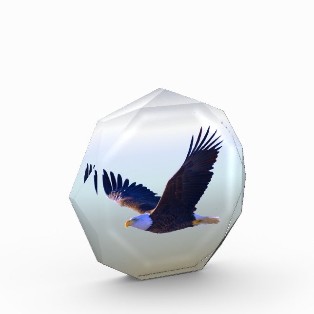 Bald Eagle Flying Photo Block (Left)