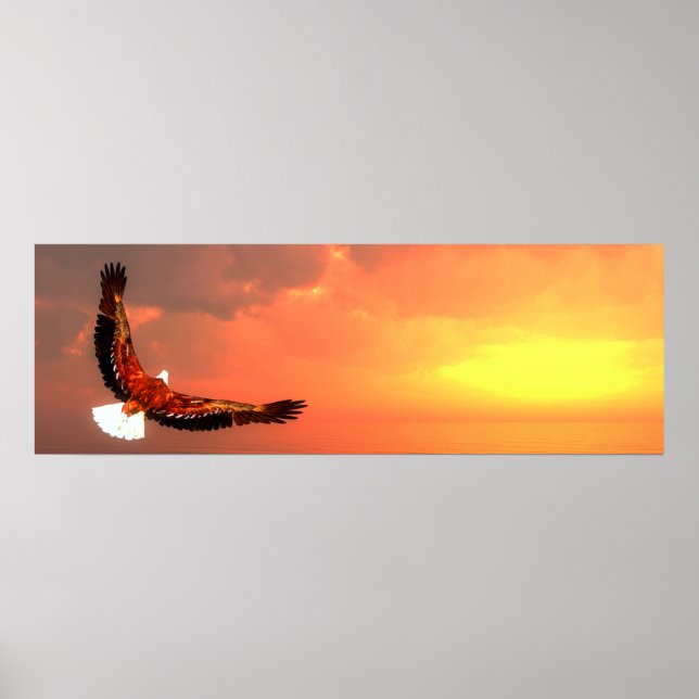 Bald eagle flying poster (Front)