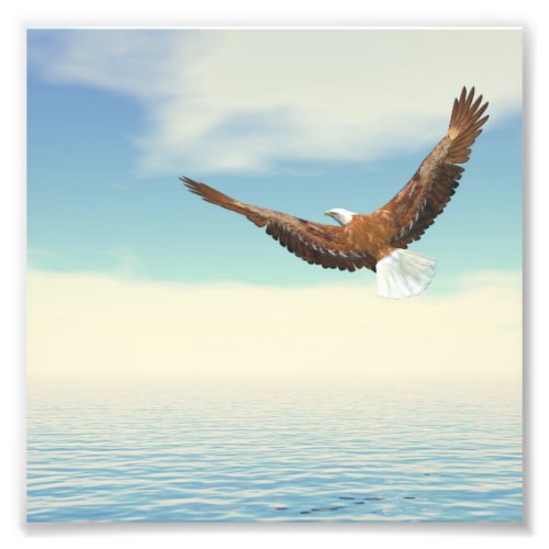 Bald eagle flying upon the ocean to the moon photo print