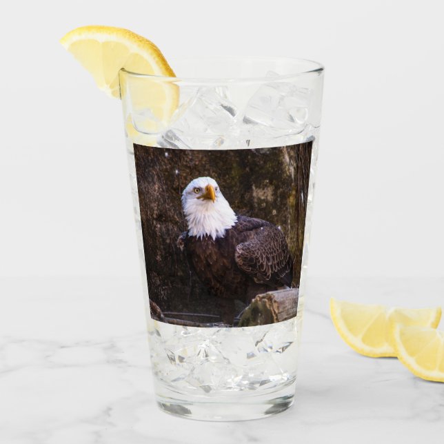 Bald Eagle Glass (Front Ice)