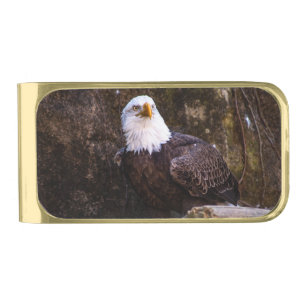 Bald Eagle Gold Finish Money Clip