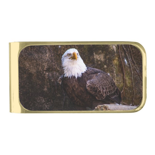 Bald Eagle  Gold Finish Money Clip (Front)