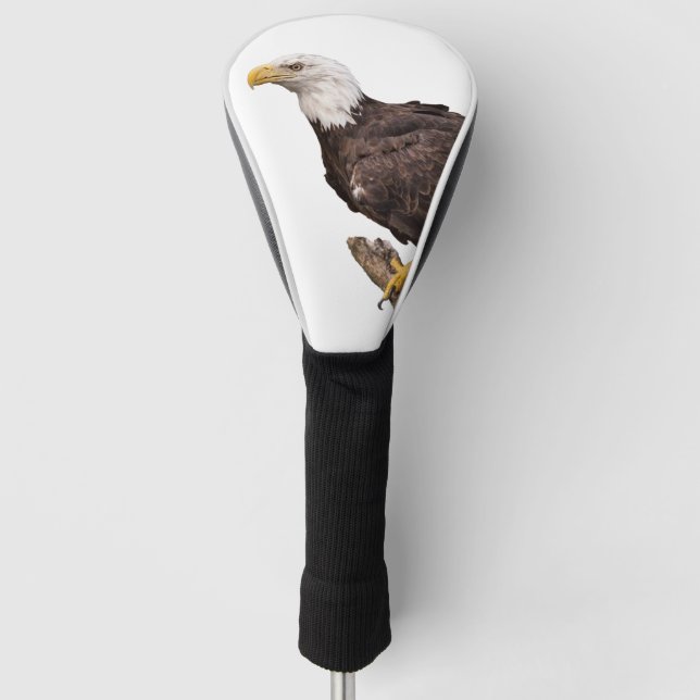 Bald Eagle Golf Head Cover (Front)