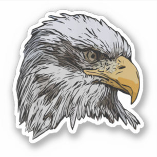 Bald Eagle Graphic American National Symbol Animal Sticker