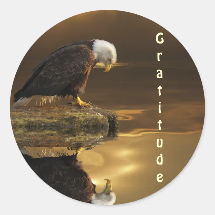 Bald Eagle Gratitude Series Classic Round Sticker | Zazzle