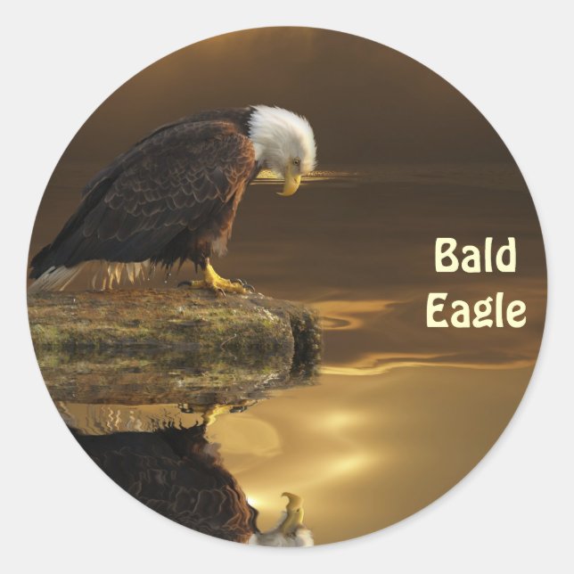 Bald Eagle GRATITUDE Wildlife Photography Classic Round Sticker (Front)