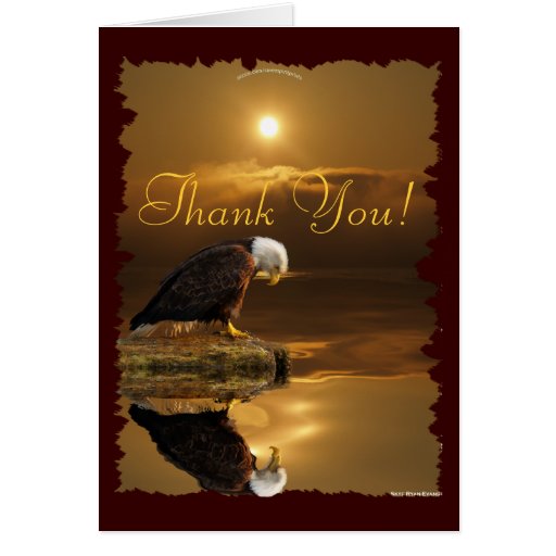 Bald Eagle Gratitude Wildlife Thank You Card | Zazzle