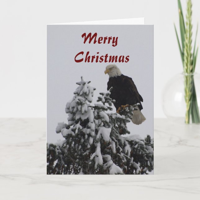 Bald Eagle Greeting Card (Front)