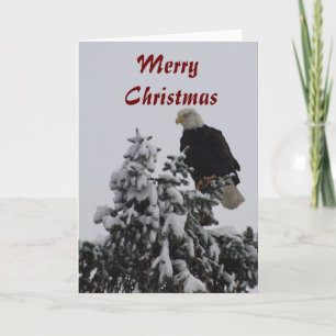 Bald Eagle Greeting Card