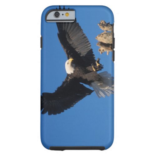 bald eagle Haliaeetus leuccocephalus landing Tough iPhone 6 Case