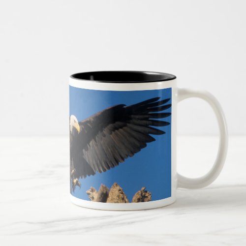 bald eagle Haliaeetus leuccocephalus landing Two_Tone Coffee Mug
