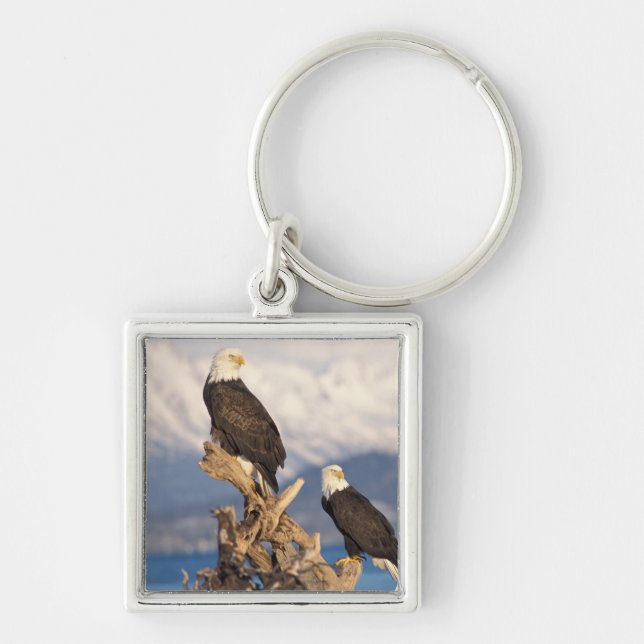 bald eagle, Haliaeetus leuccocephalus, pair Keychain (Front)