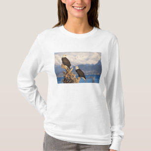 bald eagle, Haliaeetus leuccocephalus, pair T-Shirt