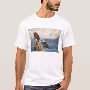 bald eagle, Haliaeetus leuccocephalus, pair T-Shirt