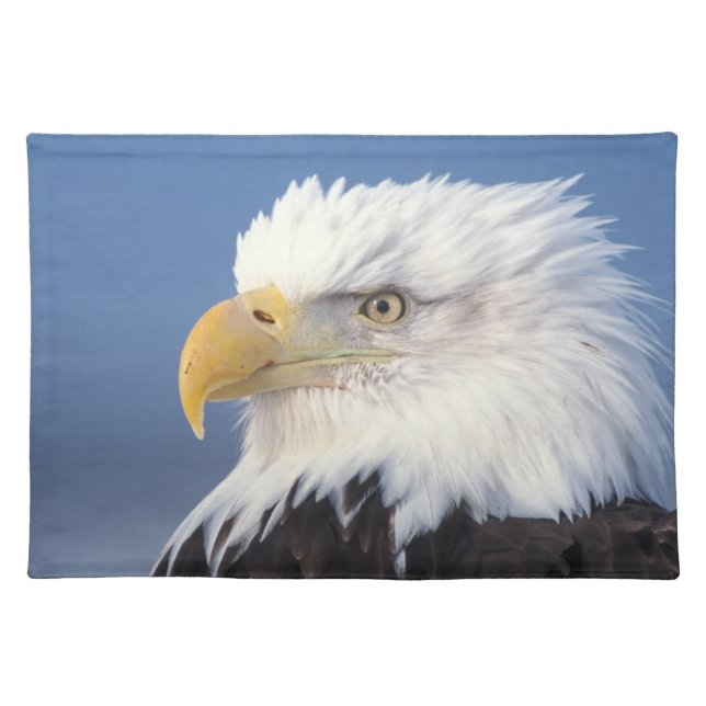 bald eagle, Haliaeetus leuccocephalus, Placemat (Front)