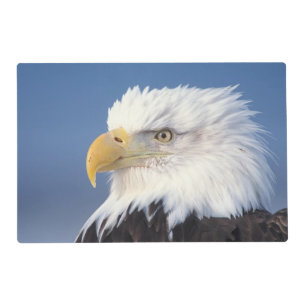 bald eagle, Haliaeetus leuccocephalus, Placemat