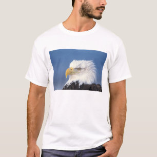 bald eagle, Haliaeetus leuccocephalus, T-Shirt