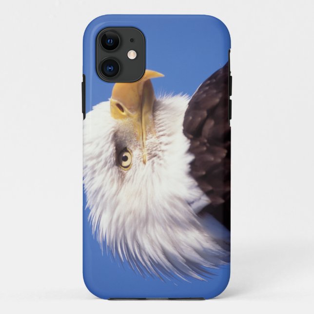 bald eagle, Haliaeetus leucocephalus, close up, 3 Case-Mate iPhone Case (Back)