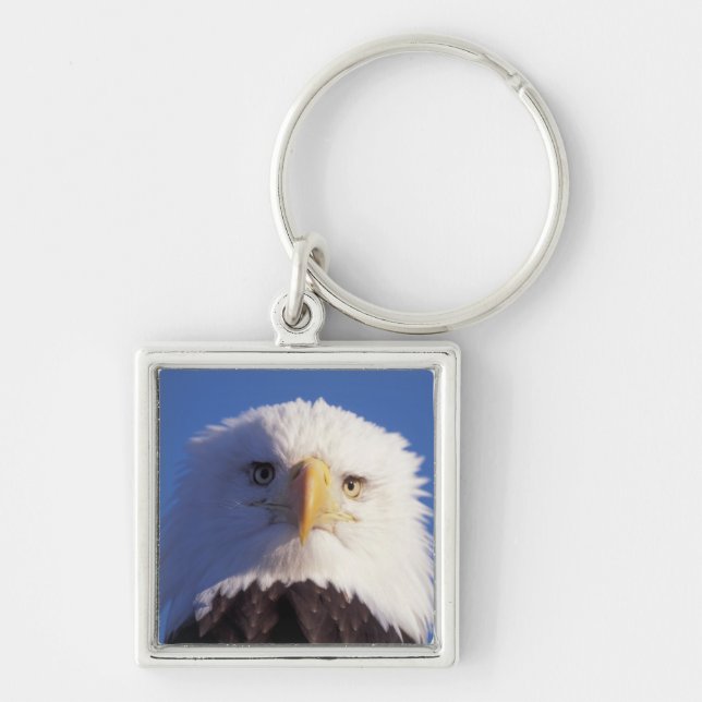 bald eagle, Haliaeetus leucocephalus, head shot, Keychain (Front)