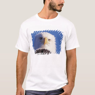 bald eagle, Haliaeetus leucocephalus, head shot, T-Shirt