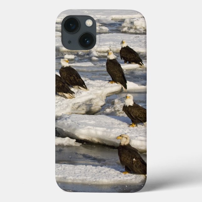 Bald Eagle, Haliaeetus leucocephalus, Homer, 2 Case-Mate iPhone Case (Back)