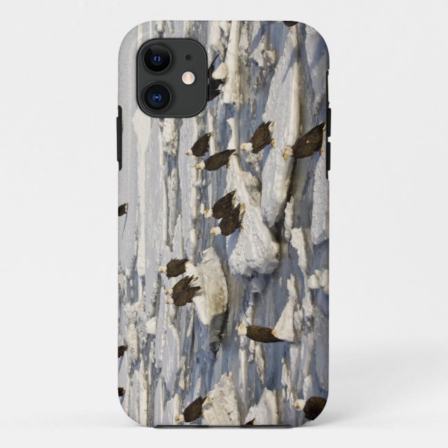 Bald Eagle, Haliaeetus leucocephalus, Homer, 2 Case-Mate iPhone Case (Back)