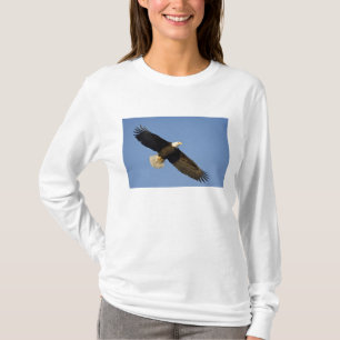 Bald Eagle, Haliaeetus leucocephalus, Homer, 4 T-Shirt