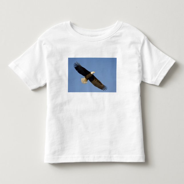 Bald Eagle, Haliaeetus leucocephalus, Homer, 4 Toddler T-shirt (Front)