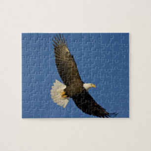 Bald Eagle, Haliaeetus leucocephalus, Homer, Jigsaw Puzzle