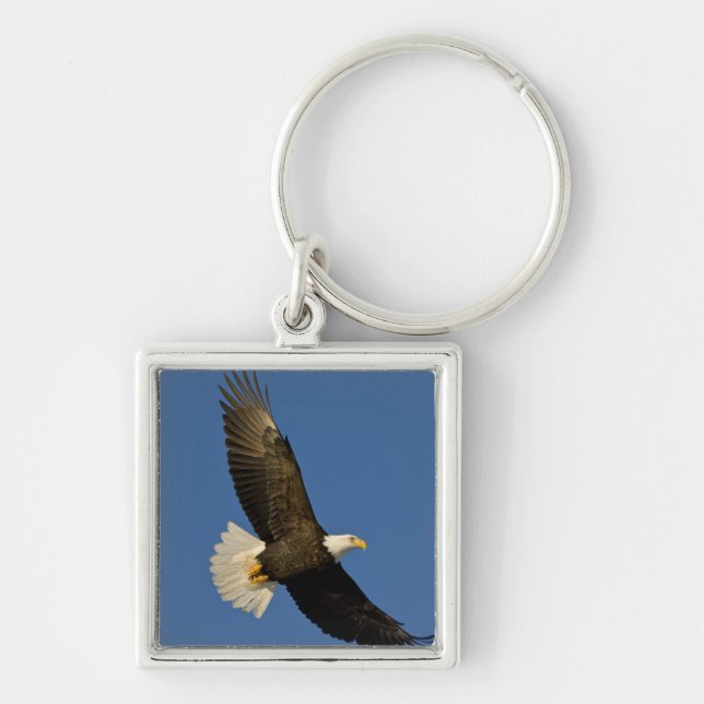 Bald Eagle, Haliaeetus leucocephalus, Homer, Keychain (Front)