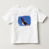 Haliaeetus Leucocephalus - American Bald Eagle - Kids Shirt