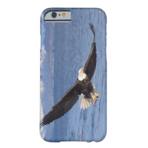 bald eagle Haliaeetus leucocephalus in flight 4 Barely There iPhone 6 Case