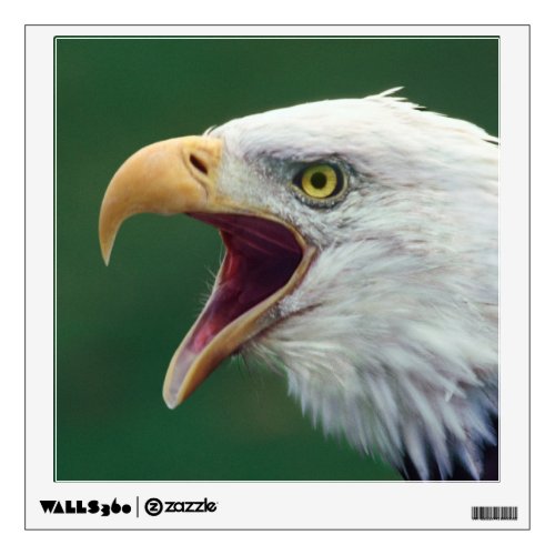 Bald Eagle Haliaeetus leucocephalus Wall Sticker