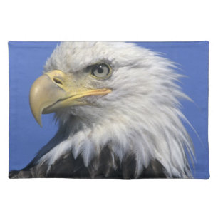 Bald Eagle, (Haliaeetus leucocephalus), wild, Cloth Placemat