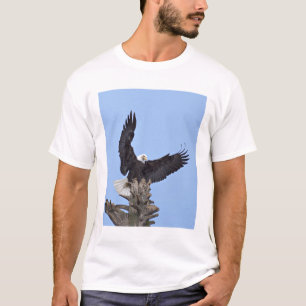 Bald Eagle (Haliaeetus leucocephalus) with wings T-Shirt