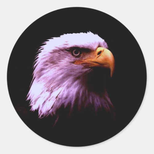 Bald Eagle Head Classic Round Sticker