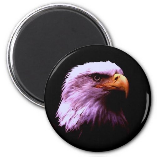 Bald Eagle Head Magnet