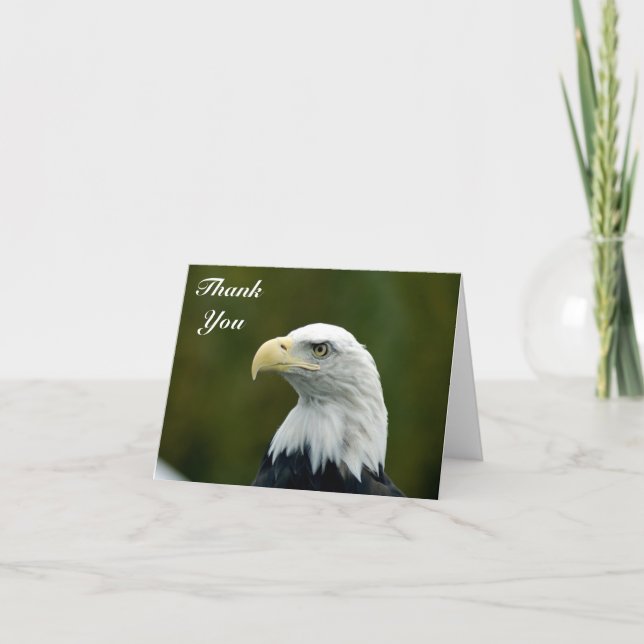Bald Eagle head Thank You Note Card (Front)