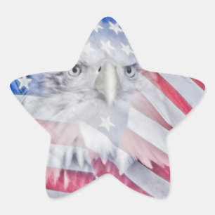 Bald Eagle Head & the American Flag Star Sticker