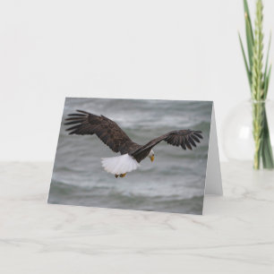 Bald Eagle Hunting Thank You Card